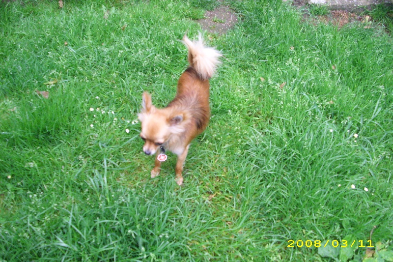 du royaume de Casabelle Douce